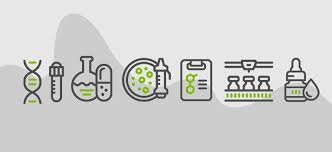 DNA IS BOUND TO UNDERGO DAMAGE BY SEVERAL FACTORS