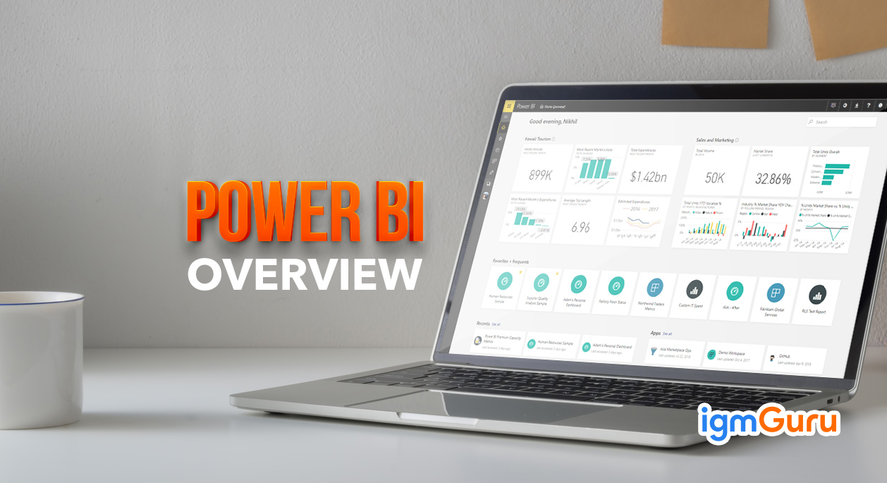 Microsoft Power BI : Overview