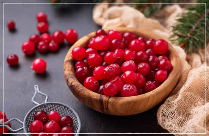 Health and Fitness Tips - Add Cranberries In Your Diet To Keep the Body Healthy
