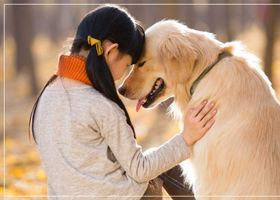 Keeping Pets At Home Is Boon or Bane