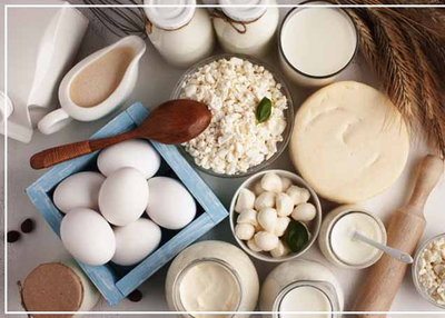 Protein Diet Workout Plan