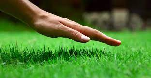 Indy Lawn Care