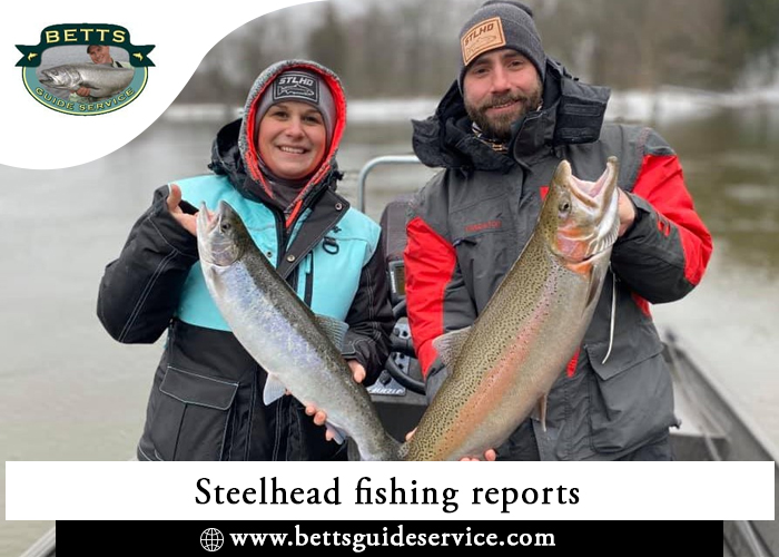 steelhead fishing reports