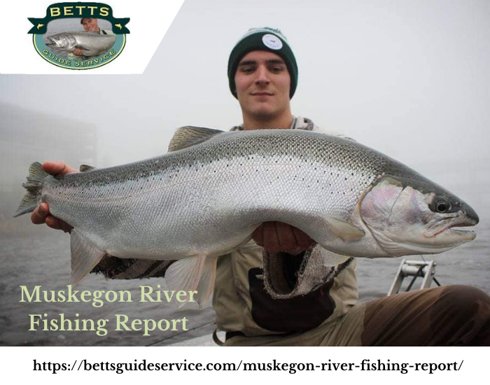 Muskegon River Fishing Report