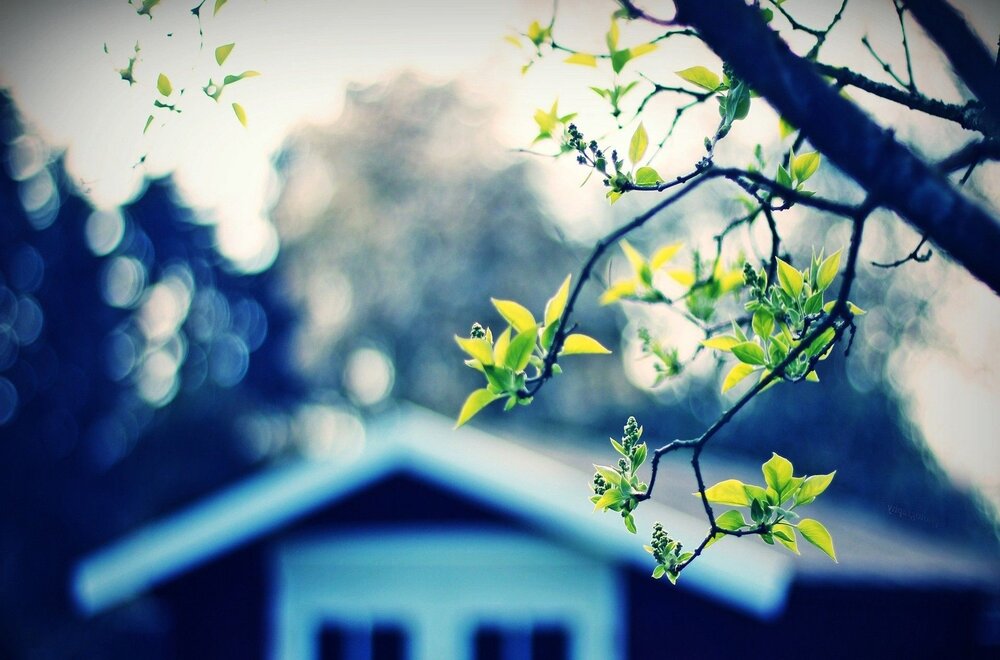 HOME INSPECTION IN HIDALGO TX