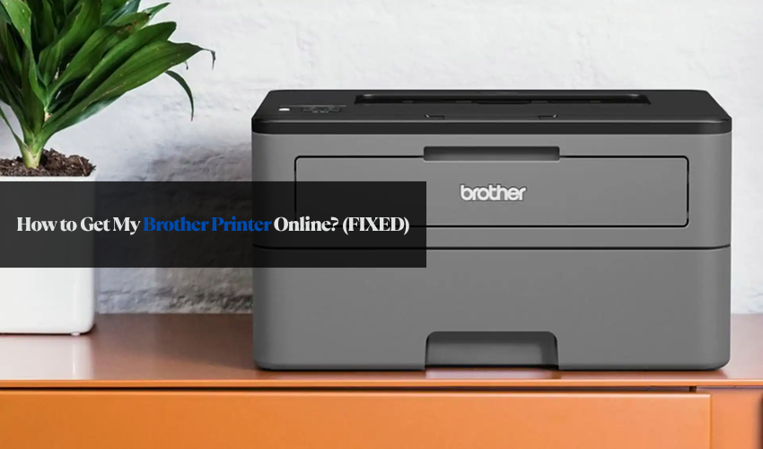How to Get My Brother Printer Online? (FIXED)