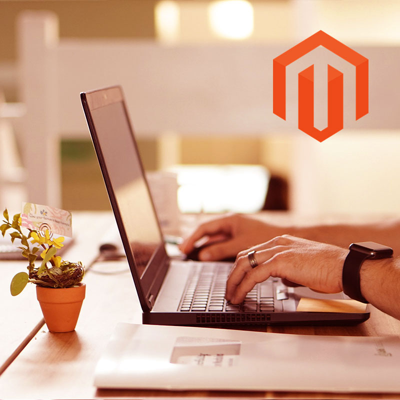 Benefits of Magento Development for Business