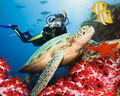 Open Water Course In Hurghada