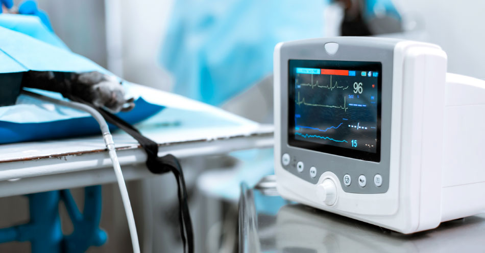 Home Healthcare Monitoring Device Market Future Judgment | Philips Healthcare (Netherlands), Kindred Healthcare (US), Linde Group (Germany)