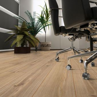 Buy Robusto 12 MM Laminate Flooring