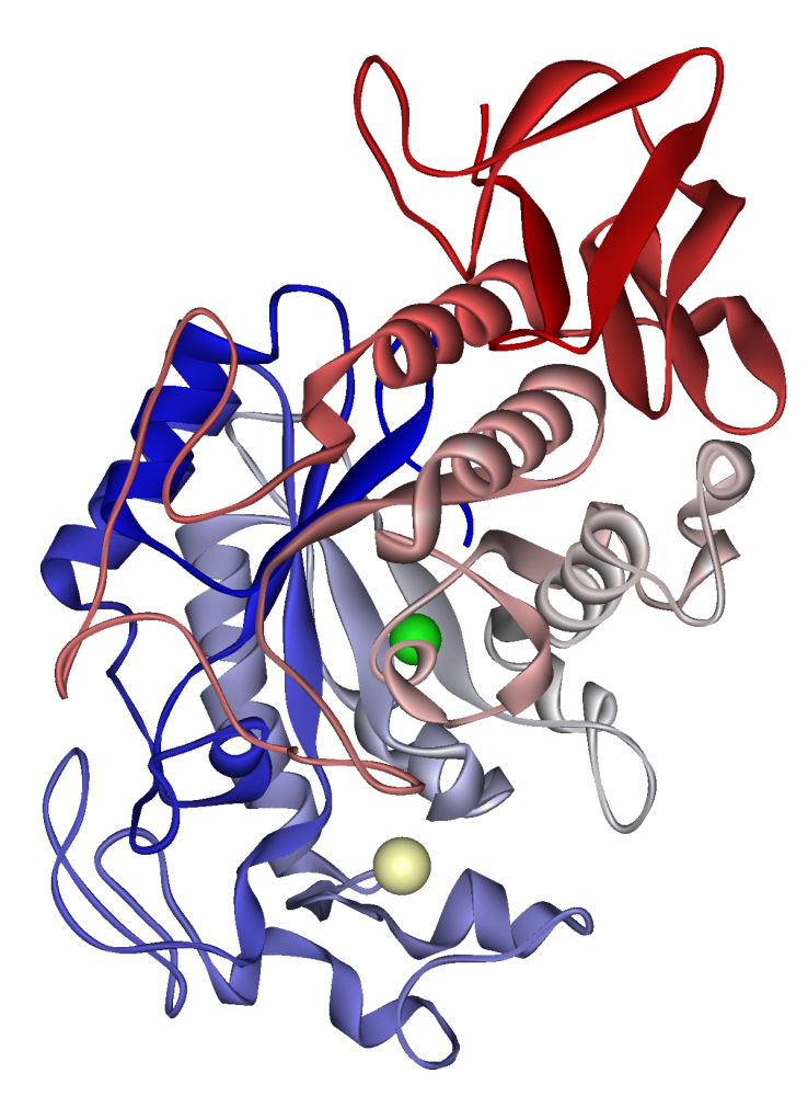 Global Alpha-Amylase Market Analysis | Industry Report 2027