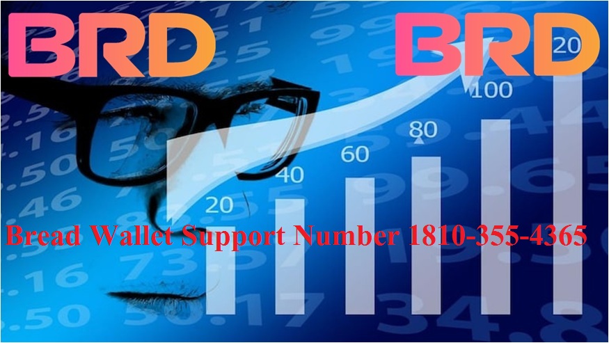 Bread Wallet Support Number +1810-{355}-4365