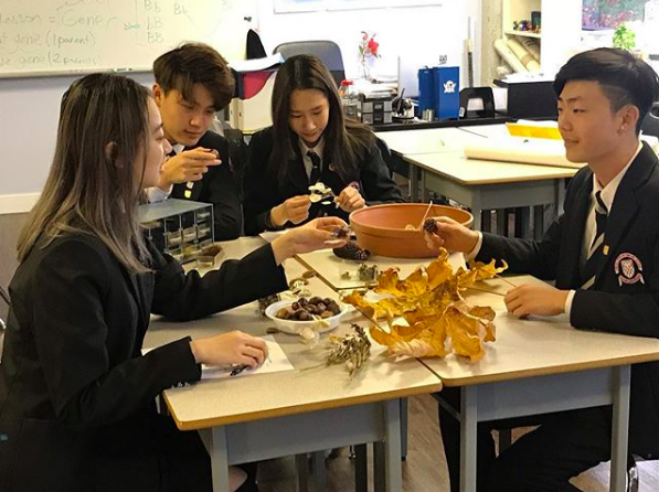 6 Reasons to Join Independent Schools Vancouver