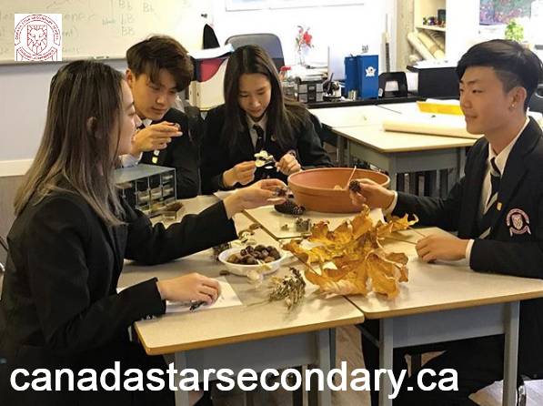 The AP Program from Canada Star Secondary School
