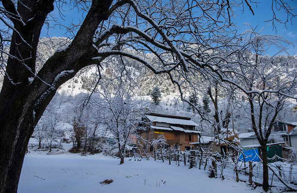 Luxury Resorts in Himachal Pradesh for Beautiful Snowfall Memory