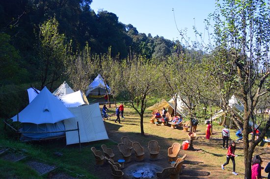 Explore Campsite and Experience Camping in Bir Billing