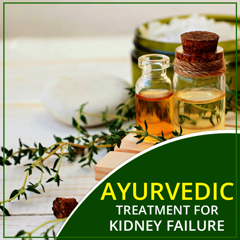 Ayurvedic Treatment For Kidney Failure