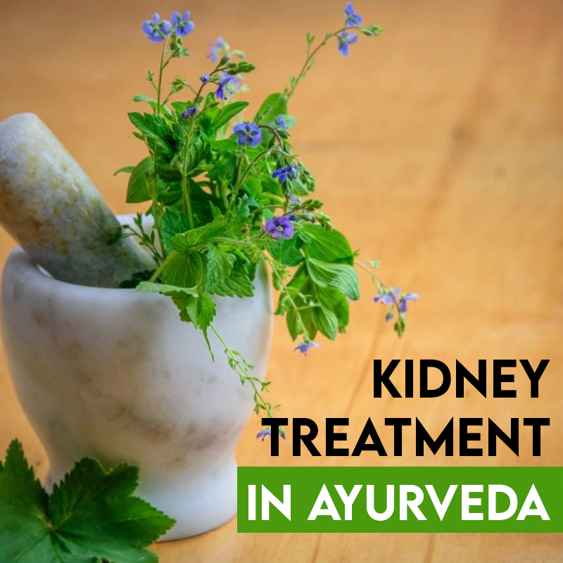 kidney treatment in Ayurveda