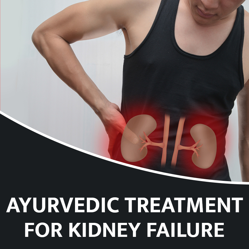 Ayurvedic Treatment For Kidney Failure