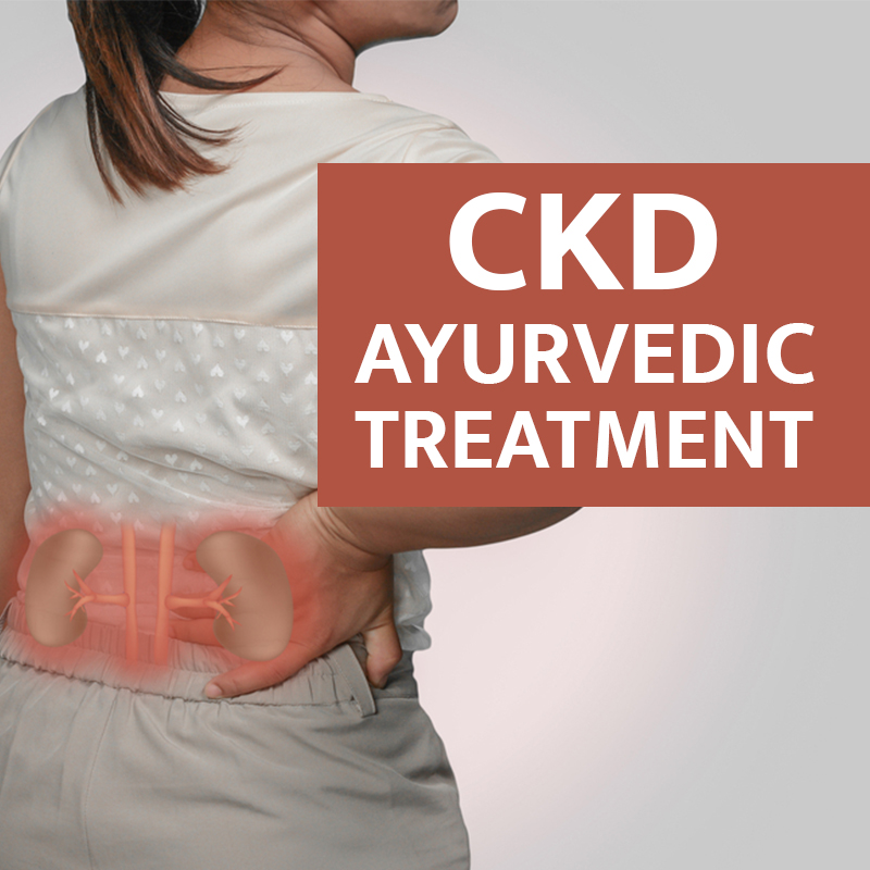 What Is Chronic Kidney Disease?