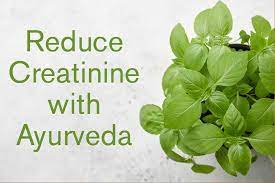 All You Need to Know About the High Creatinine Range