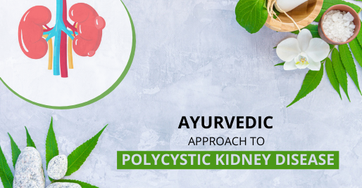 Ayurvedic Approach To Polycystic Kidney Disease