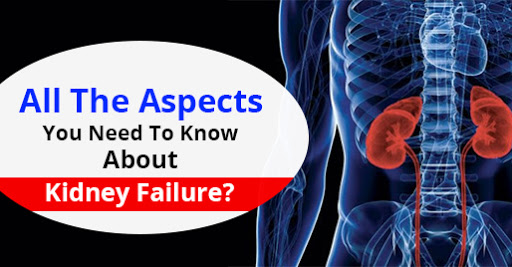 All The Aspects You Need To Know About Kidney Failure