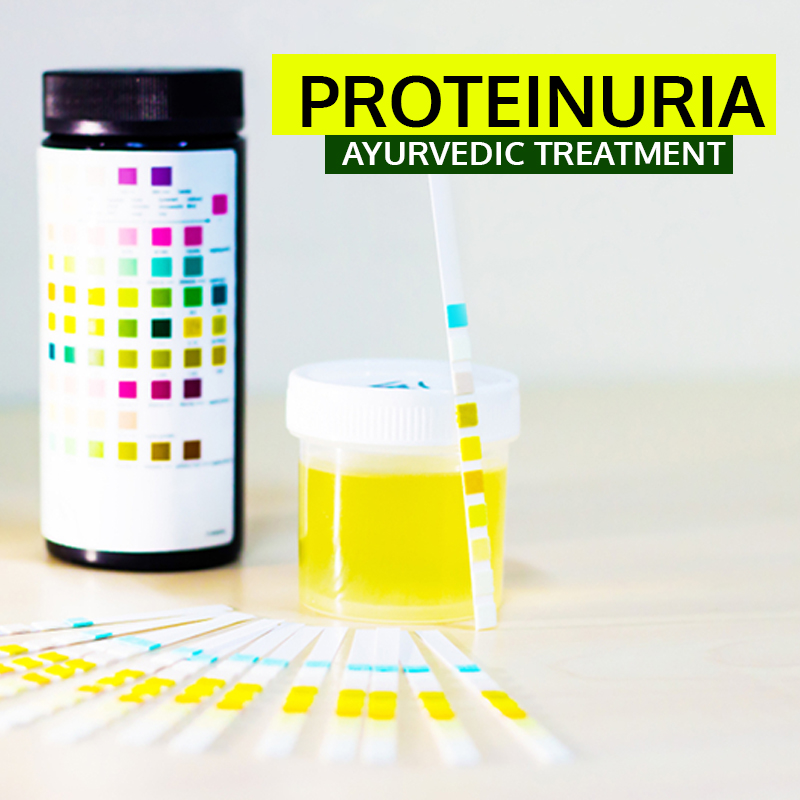 Proteinuria Ayurvedic Treatment