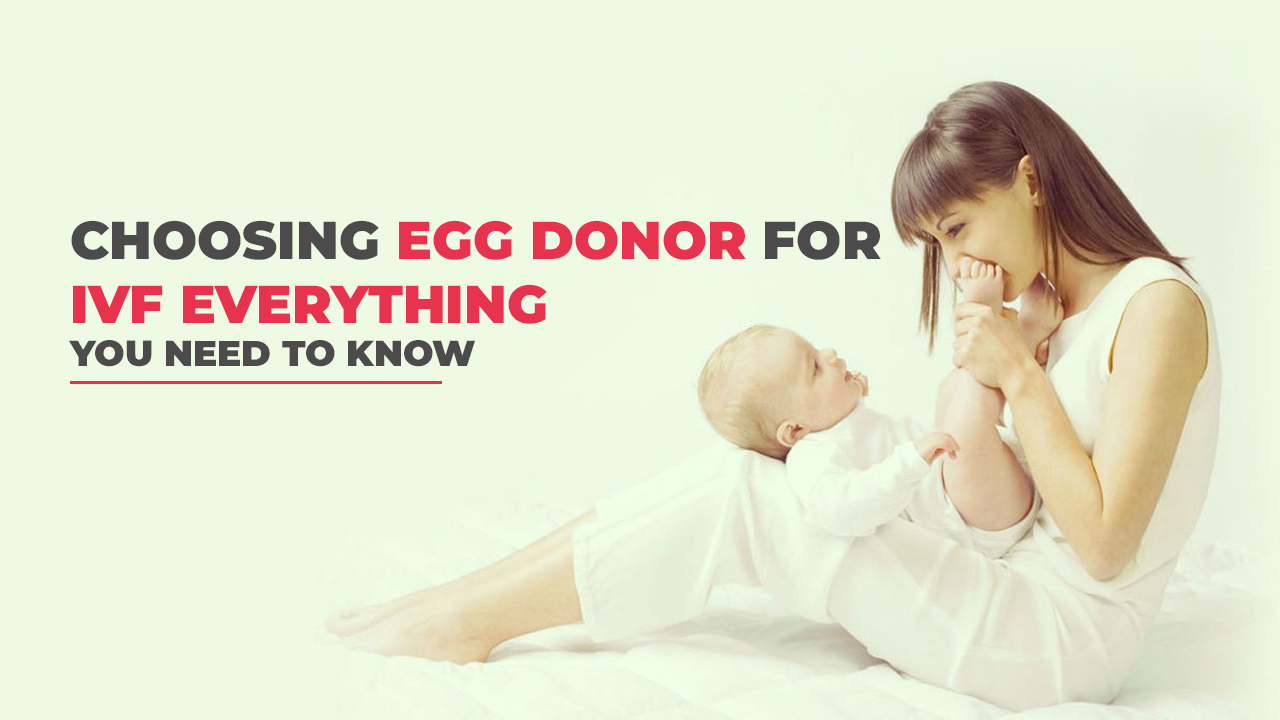 Choosing Egg Donor for IVF Everything You Need To Know