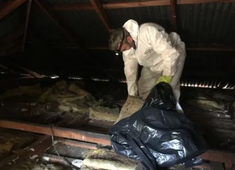 Insulation Removal