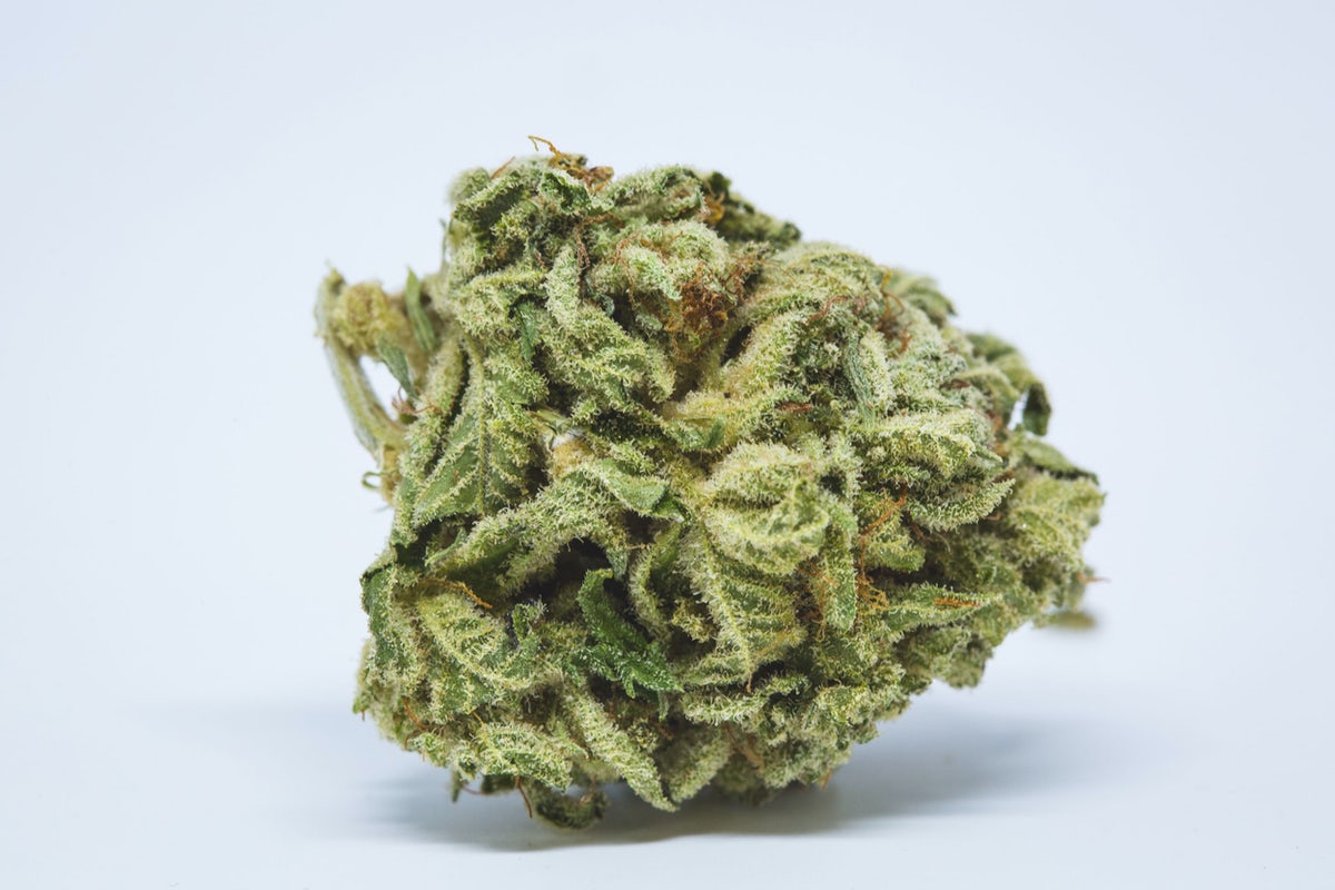 Bud In Washington DC