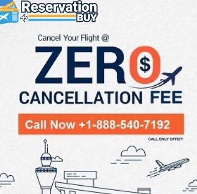 KLM Cancellation Policy