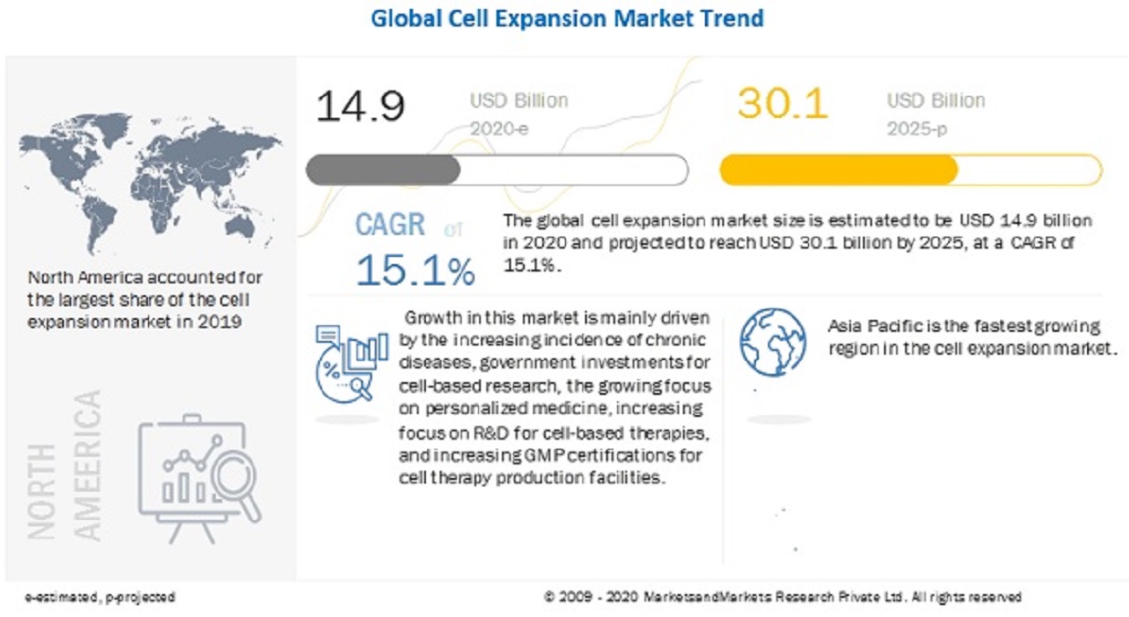 Cell Expansion Market: Ethical concerns regarding research in cell biology