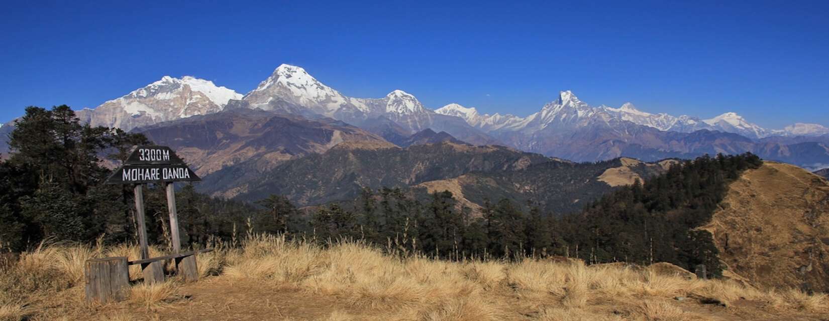 Mohare Danda Trek — 10 Days | Himalayan Frozen
