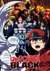 انمي Hataraku Saibou Black (TV) الحلقة 2 مترجمة