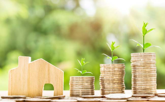 Bradley Ferry Investment - Get Business Tips