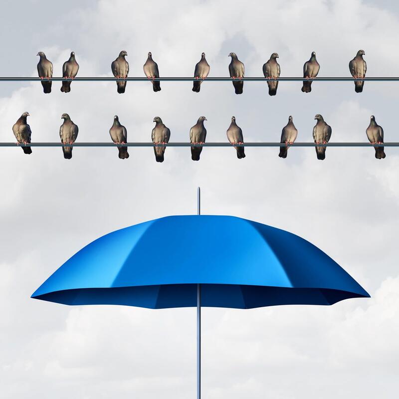 Mindset Matters: Psychological Safety, Disability, And A New Lens For Corporate Talent Management