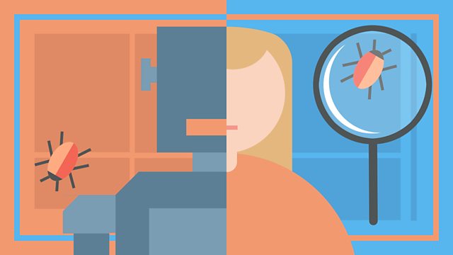 Will Codeless Test Automation Overcome Conventional Test Automation Completely?