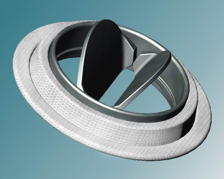 Prosthetic Heart Valves are an effective Solution in eliminating Symptoms of Heart Failure and Congenital Heart Disease