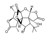 Global Ginkgolide A Market Analysis | Industry Report 2027