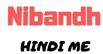 All type essay in Hindi