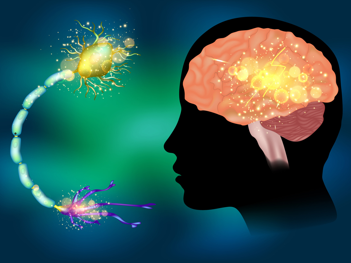 The Bright Minds Bio Is Developing Psychedelic Drugs For Curing Mental Health Diseases