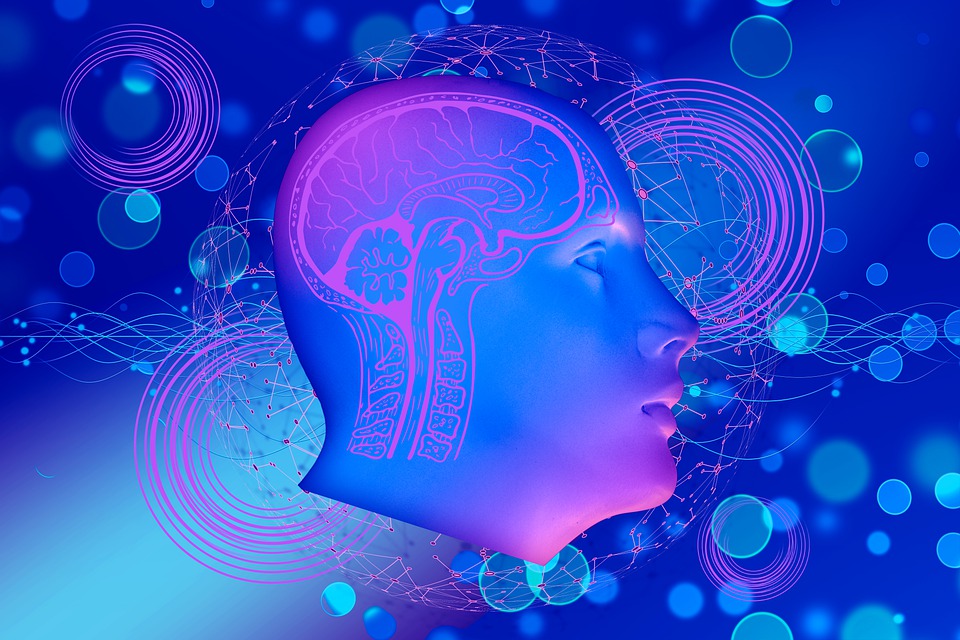Meet the Top 14 Psychedelics Startups