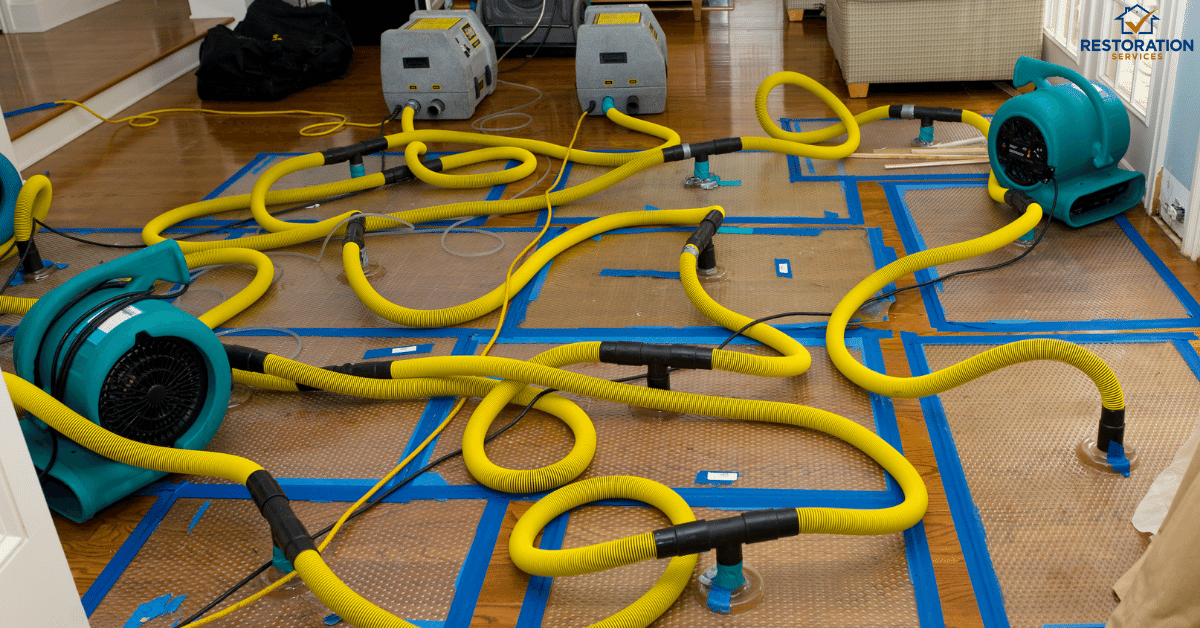 disaster cleanup utah