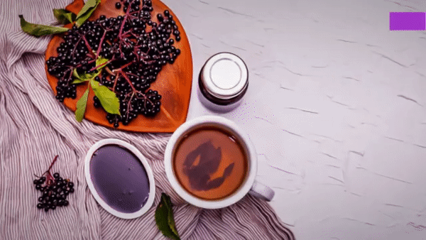 Elderberry Syrup Vs Gummies – Which Is Better?