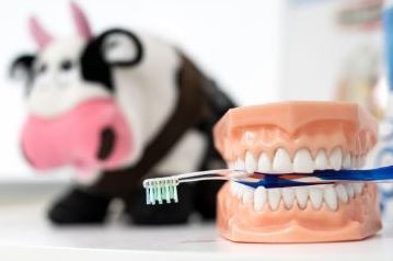 The Kids Dentist in Australia