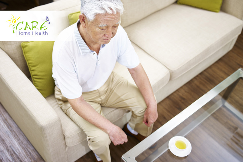 Best Senior Home Health Care Services in Etobicoke, Ontario