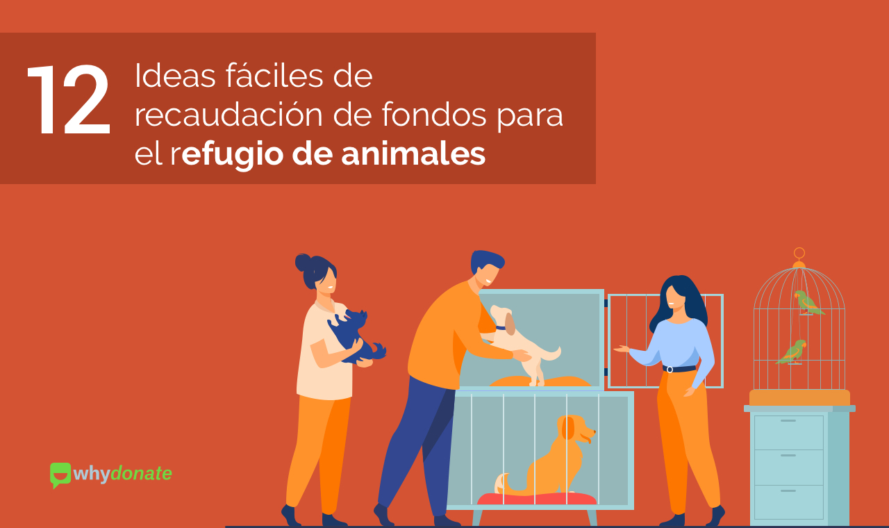 12 Ideas Fáciles para Recaudar Dinero para Refugios de Animales
