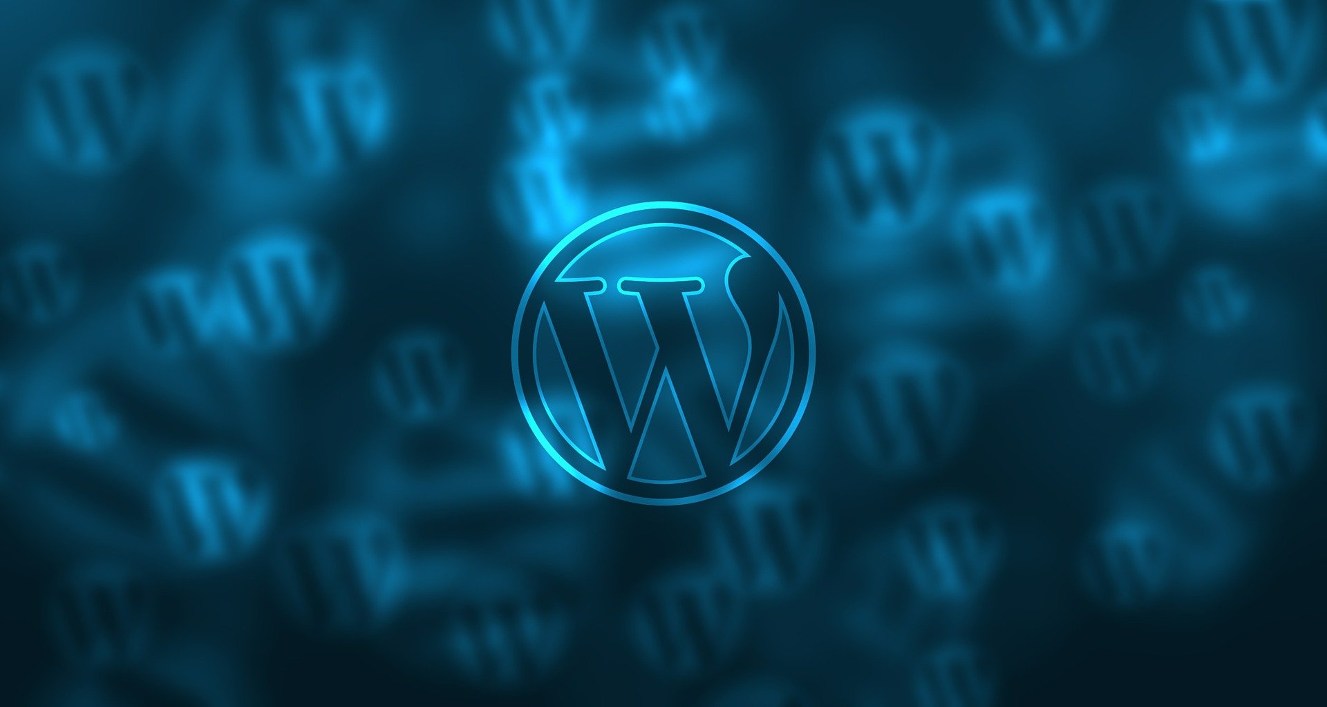 WordPress Web Development Company | IT Services in Rajkot