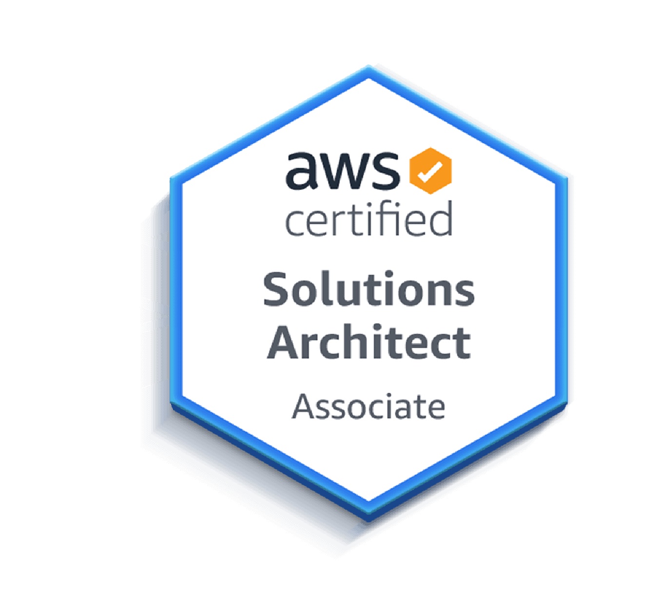 AWS Certified Solutions Architect Associate [SAA-C02]